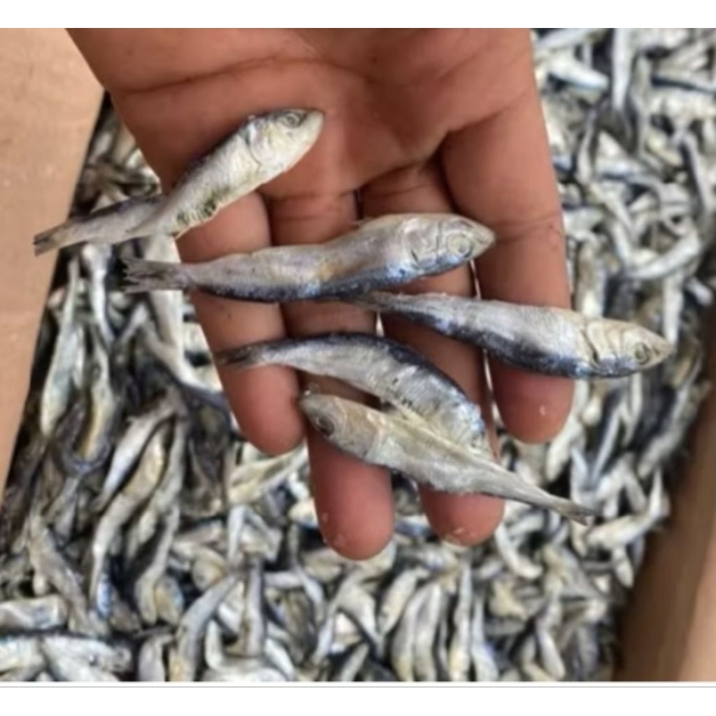 

Ikan Asin Teri Lemet Pengawet Alami