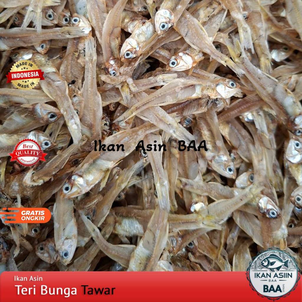 Ikan Asin Teri Bunga Tawar Kering Lampung