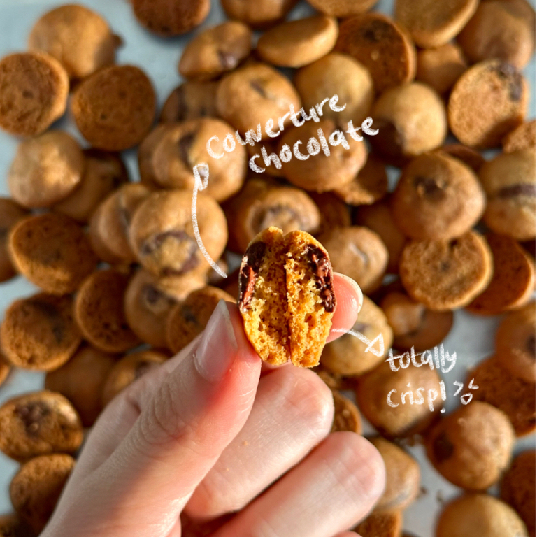 

Havenly Bites Mini Chocochips Cookies Kue Kering Choco