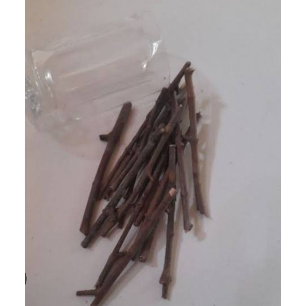 

15 RANTING KAYU 20 CM/ BAHAN KERAJINAN/ UNTUK TUGAS PRAKARYA/ BAHAN KOLASE