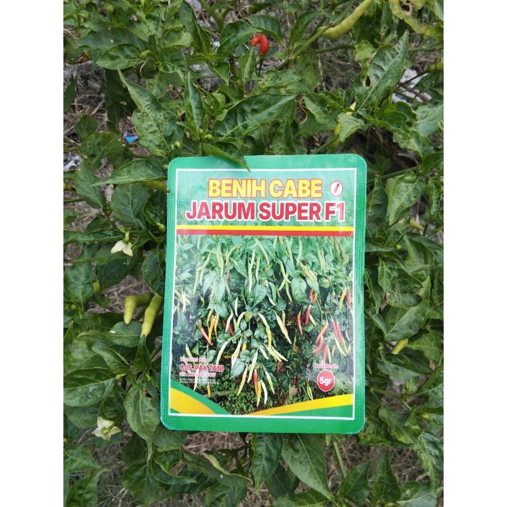 BENIH CABE JARUM SUPER F1 (5gr = ±1100btr)
