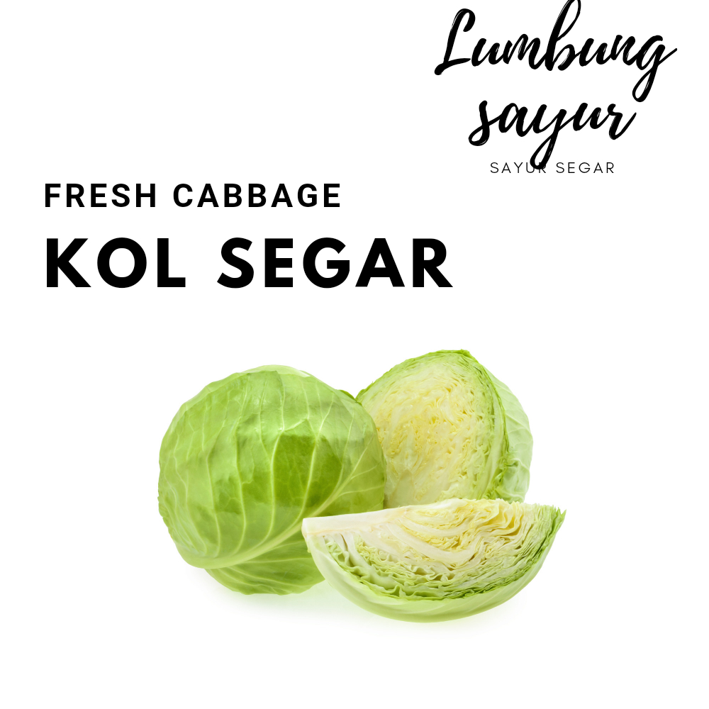 

Sayur Lumbung - Kol Segar / Sayuran Segar 500 gr