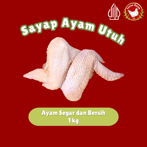 

Teras Ayam - Ayam Potong Sayap 500 gr / 1 kg