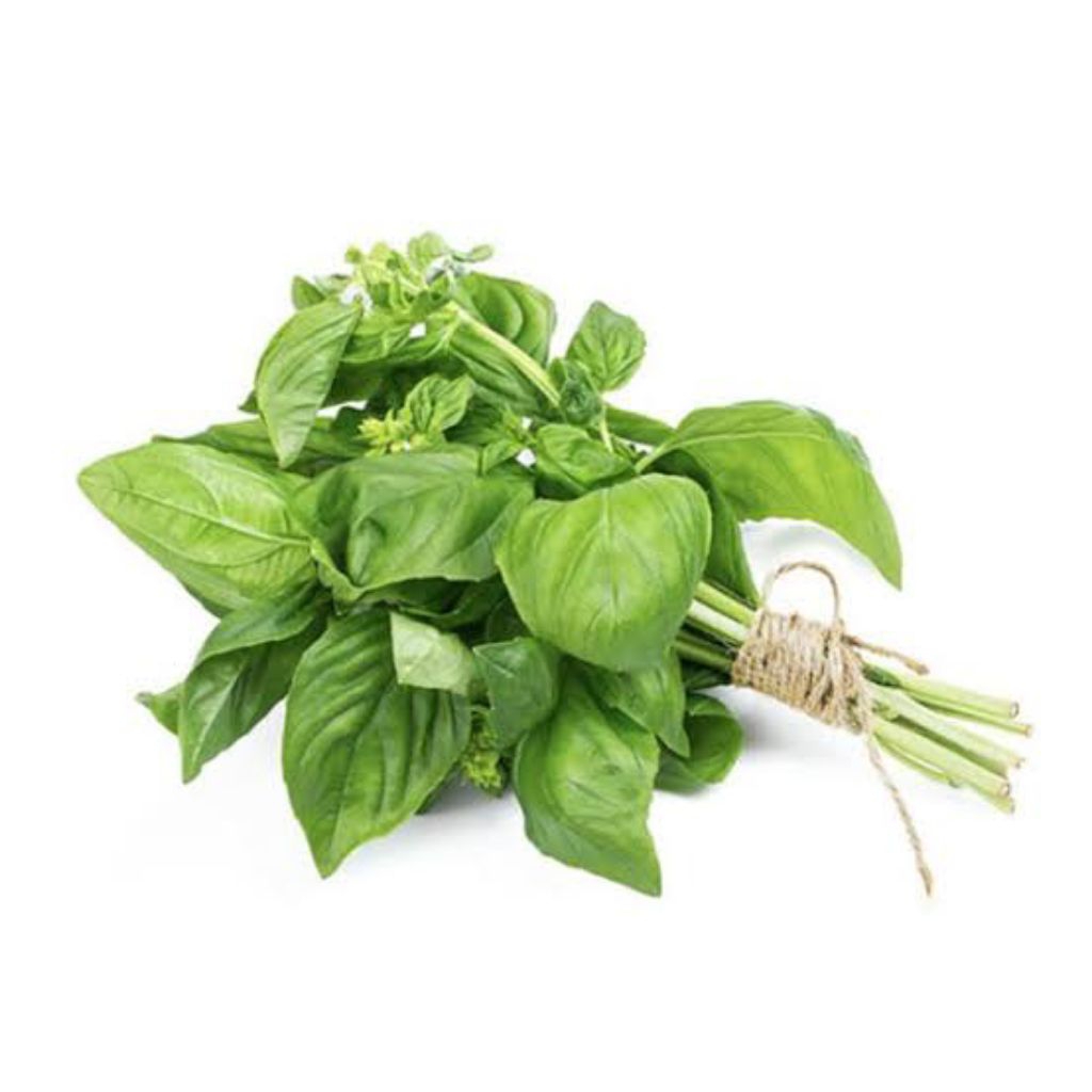 

Basil pack 100gr