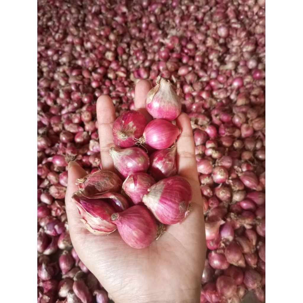

bawang merah 1kg