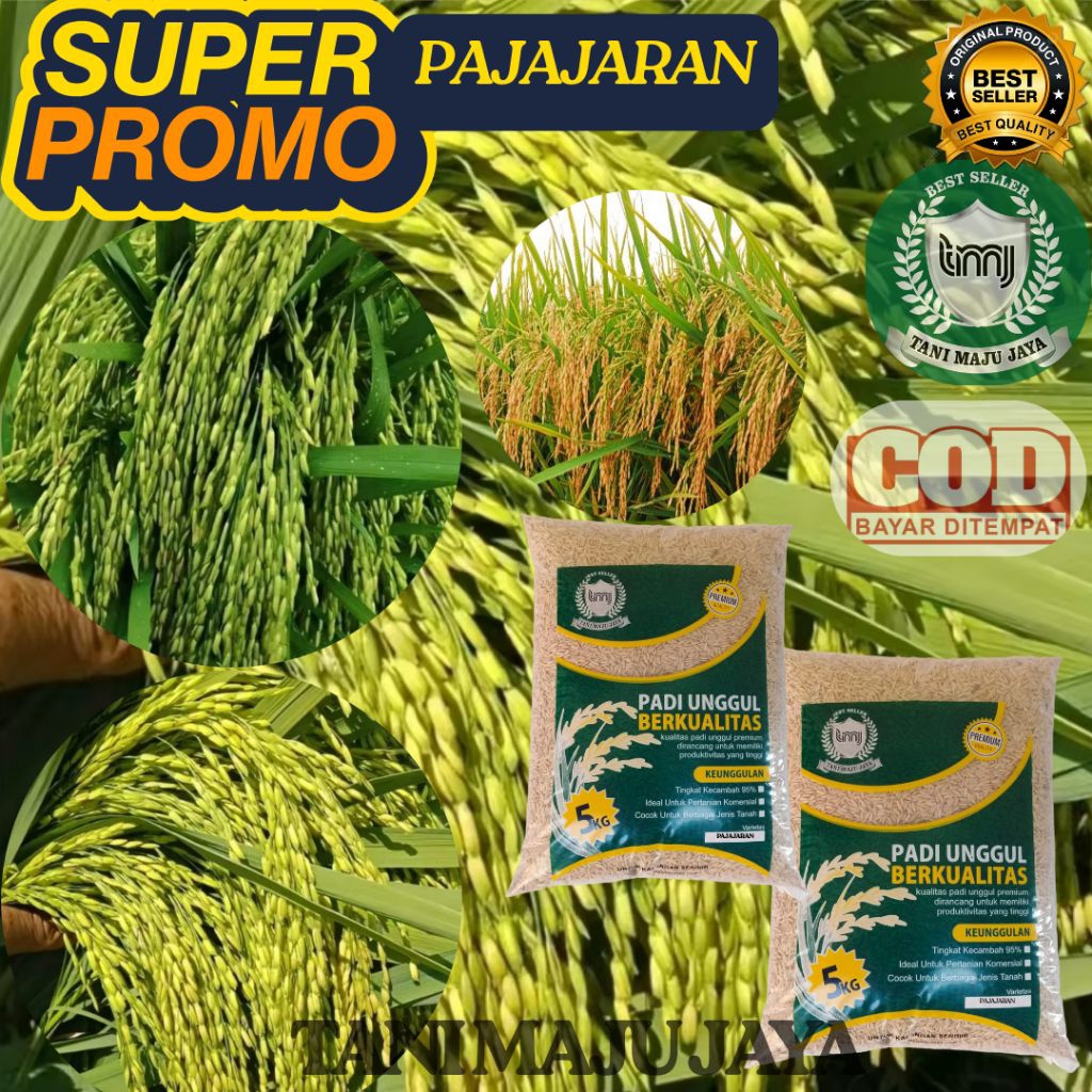 SUPER PROMO 10 KG BIBIT PADI BENIH PADI UNGGUL VARIETAS PAJAJARAN KEMASAN 5 KG