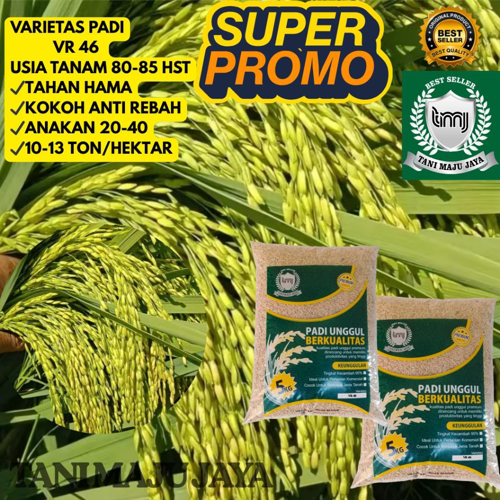 SUPER PROMO 10 KG BIBIT PADI BENIH PADI UNGGUL VARIETAS VR 46 KEMASAN 5 KG