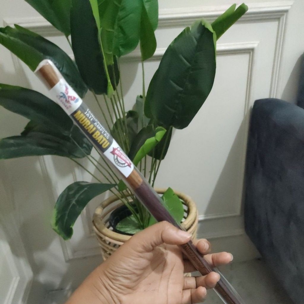 TANGKRINGAN MURAI SAZIME SUPER HALUS