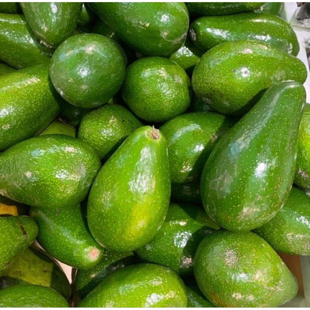 

alpukat mentega 10,KG atau 5,KG READY siap kirim