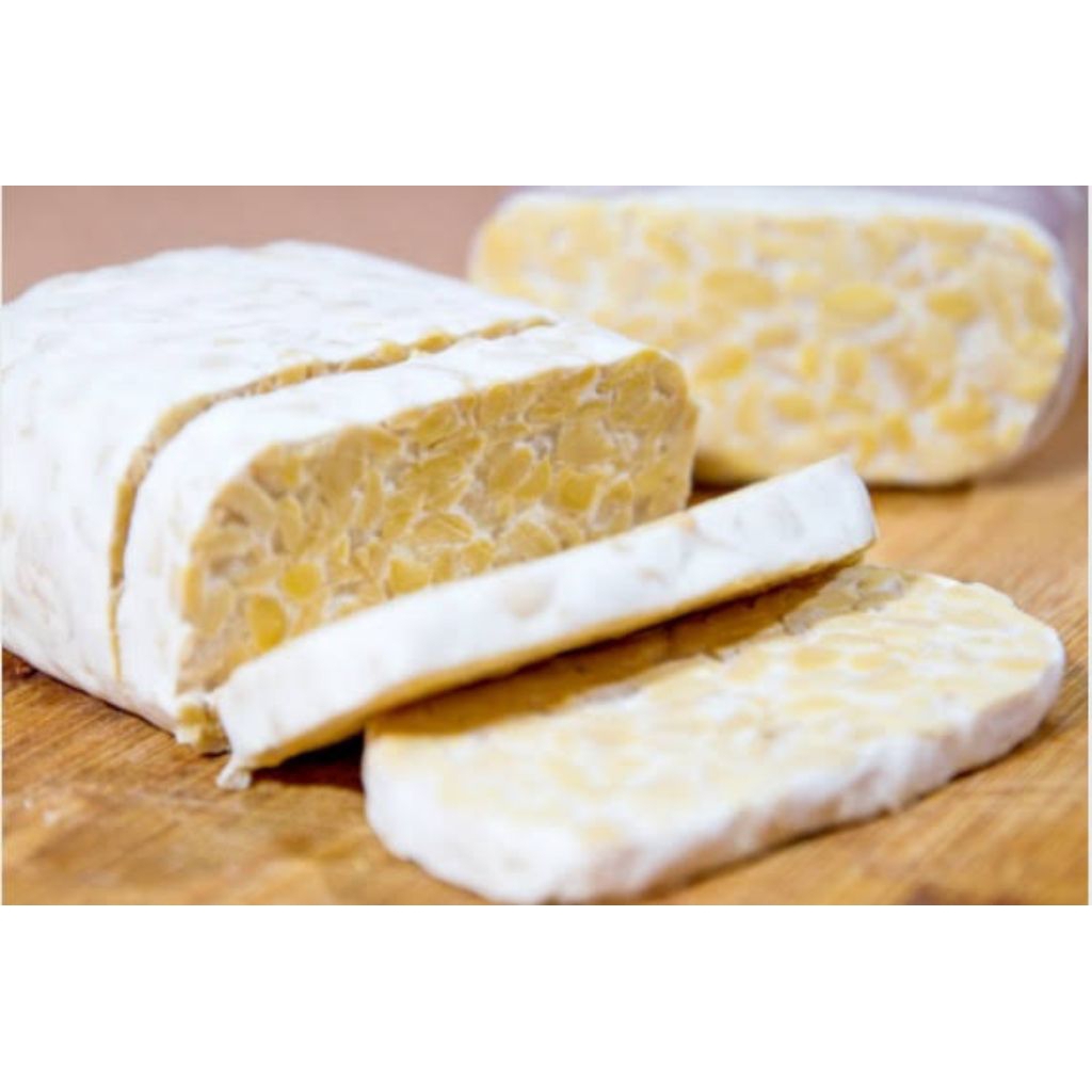 

Tempe 1 Batang Besar Fresh