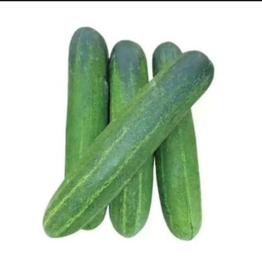 

Timun 500 gr Fresh (Sayuran Segat)