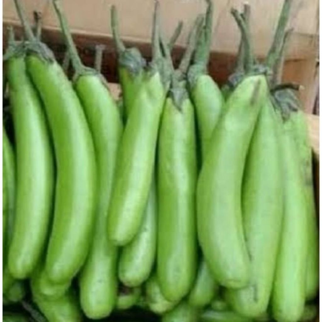 

LABU PUTIH PANJANG / WHITE PUMPKIN / FRESH VEGETABLES / VEGETABLE / SAYUR SAYURAN SEGAR BEST SELLER