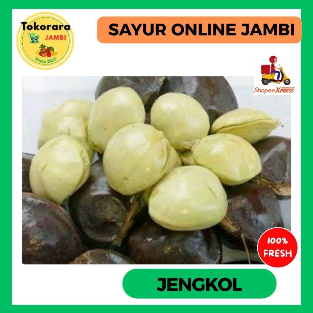 

INSTAN Jengkol Sambal per 10 biji-tokorara.jambi