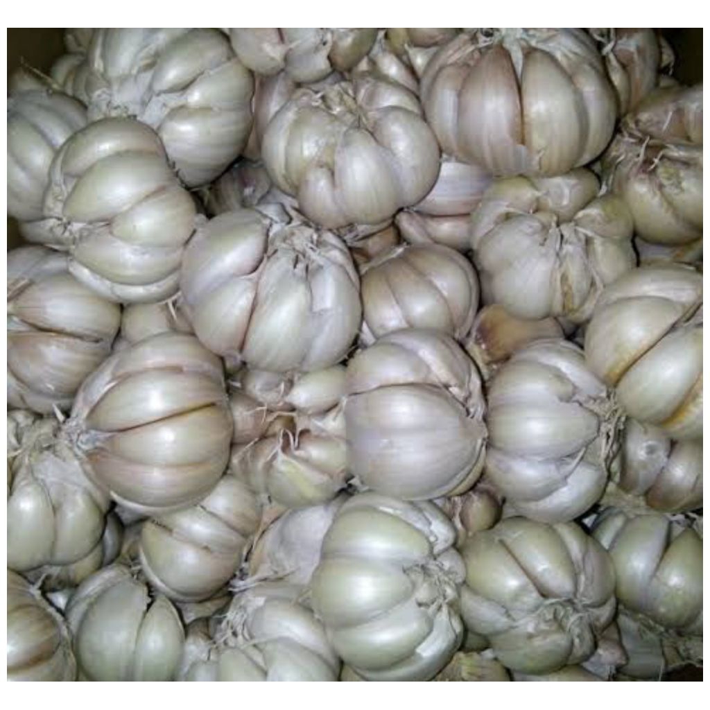 

bawang putih biasa 500gram