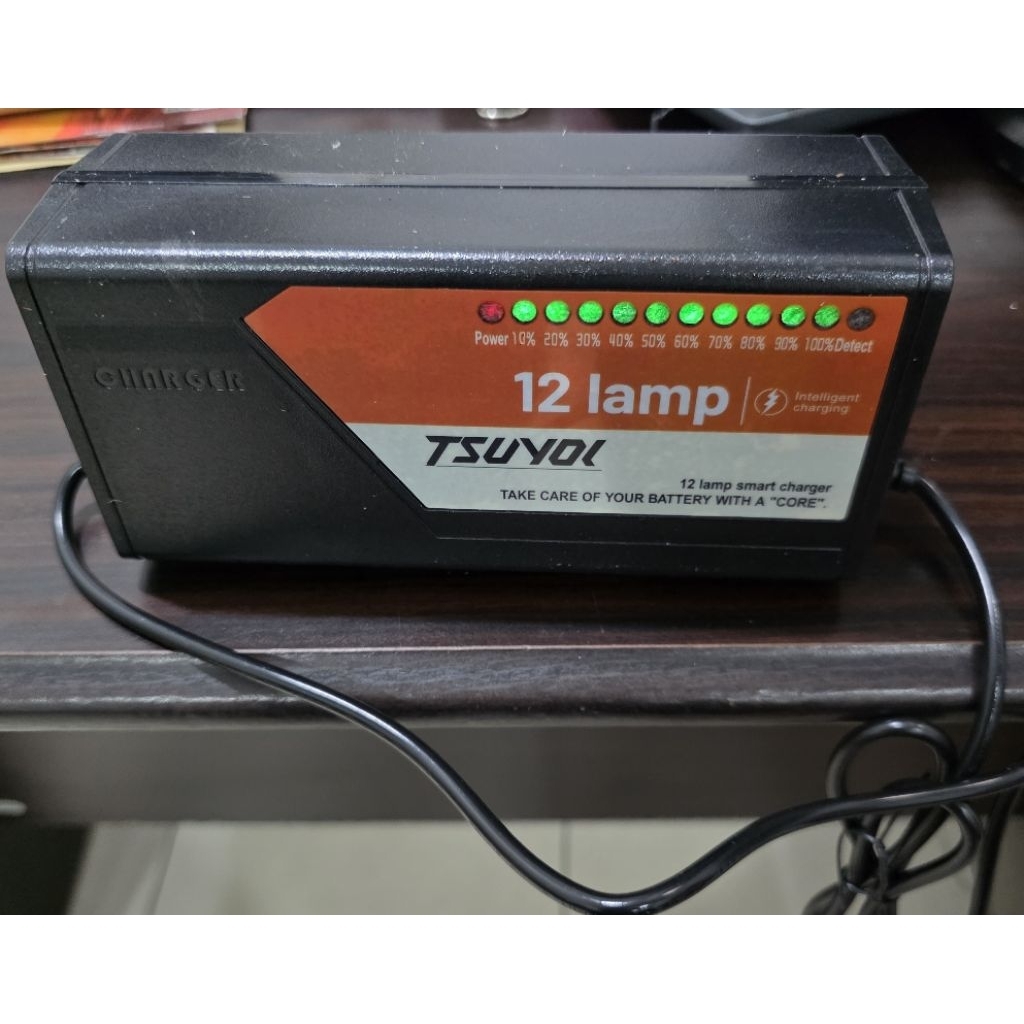 CARGER SEPEDA LISTRIK TSUYOL 48V12AH, 48V20AH, 60V20AH, 72V20AH