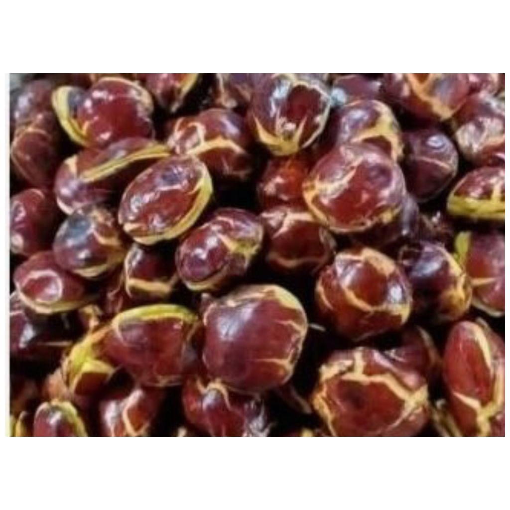 

Jengkol Tua pilihan 250gram