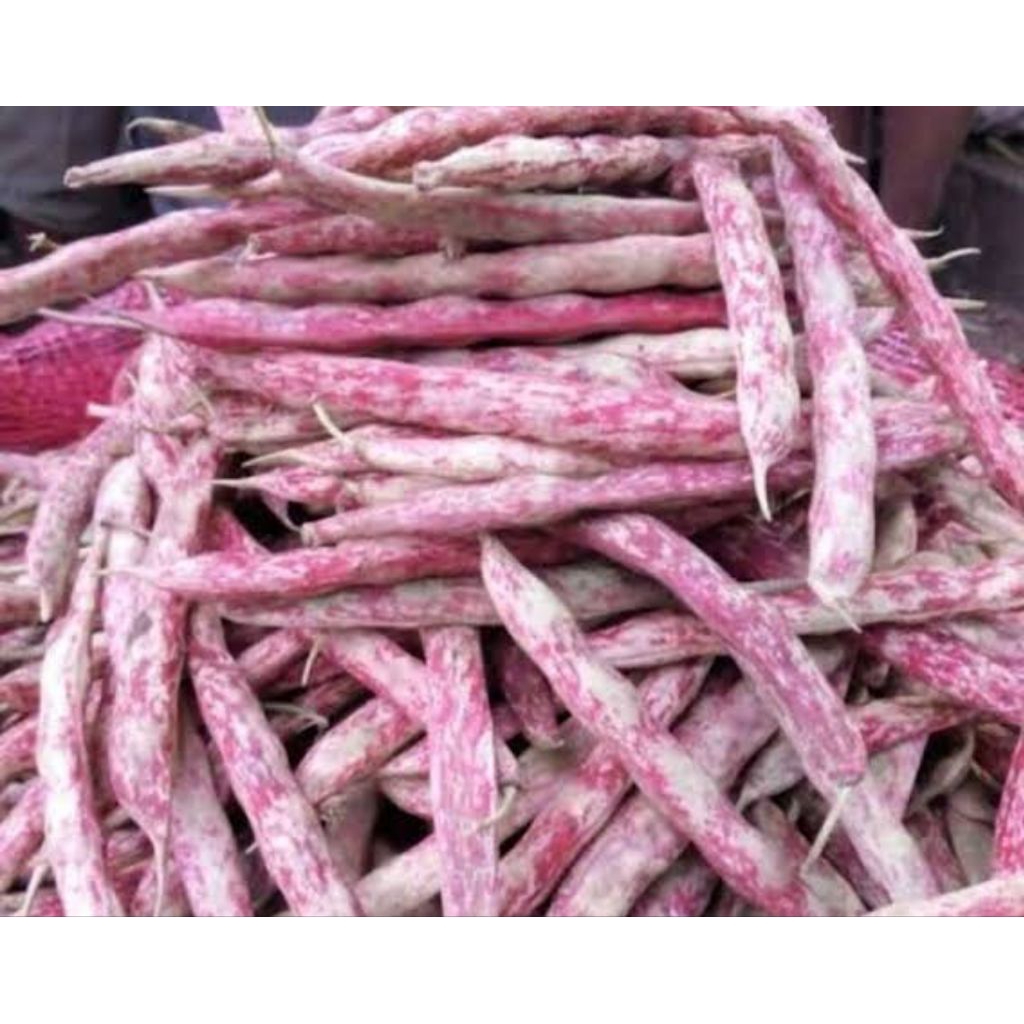 

Kacang Merah 250gram