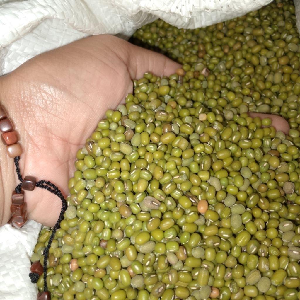 

kacang hijau 1kg