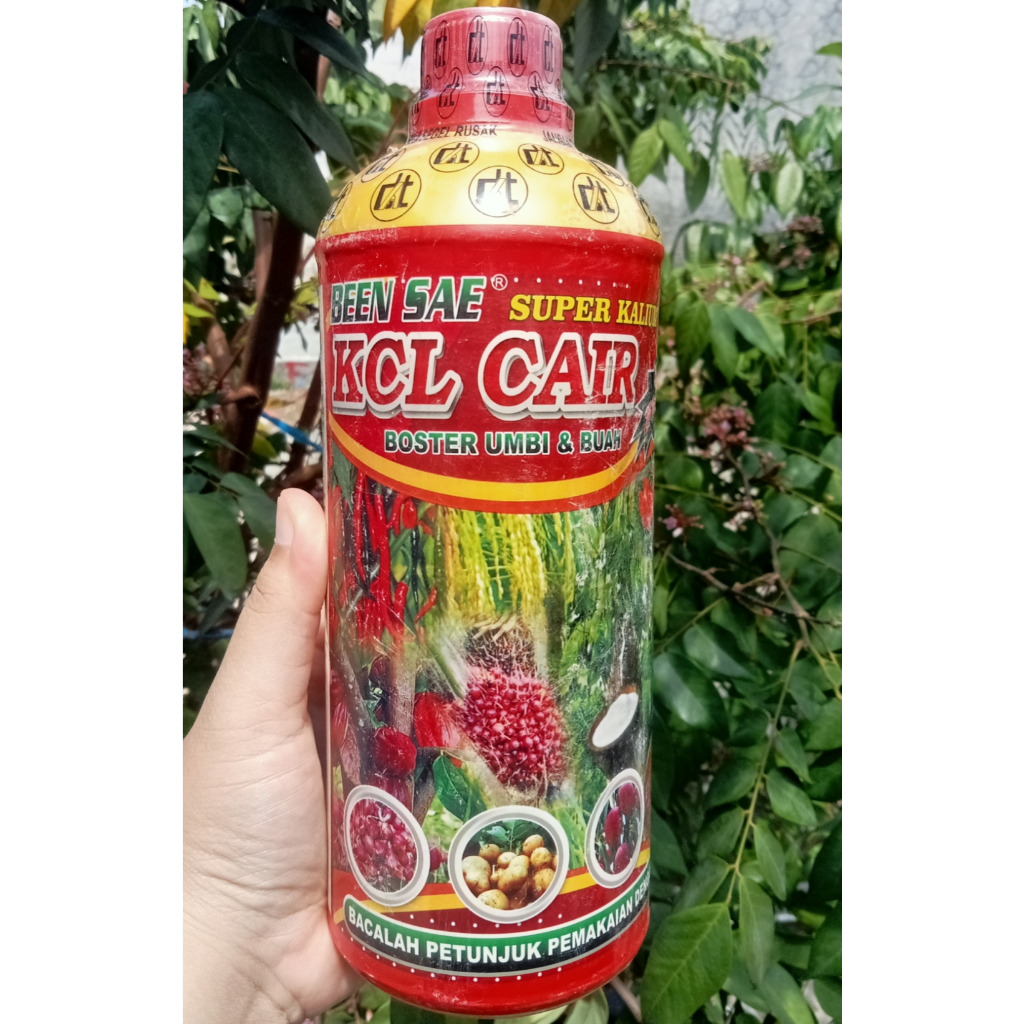 KCL CAIR BEENSAE SUPER KALIUM  BOOSTER UMBI & BUAH 1000ML