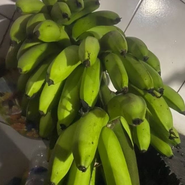 

Buah Pisang Mentah RJX KG Pisang Bangkaulu