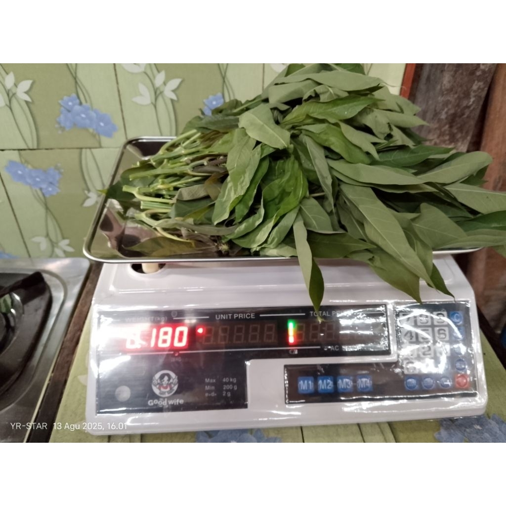 

Daun Singkong Segar, Gratis Ongkir 100℅