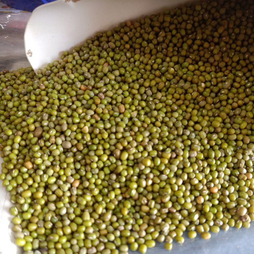 

KACANG HIJAU 250 GRAM