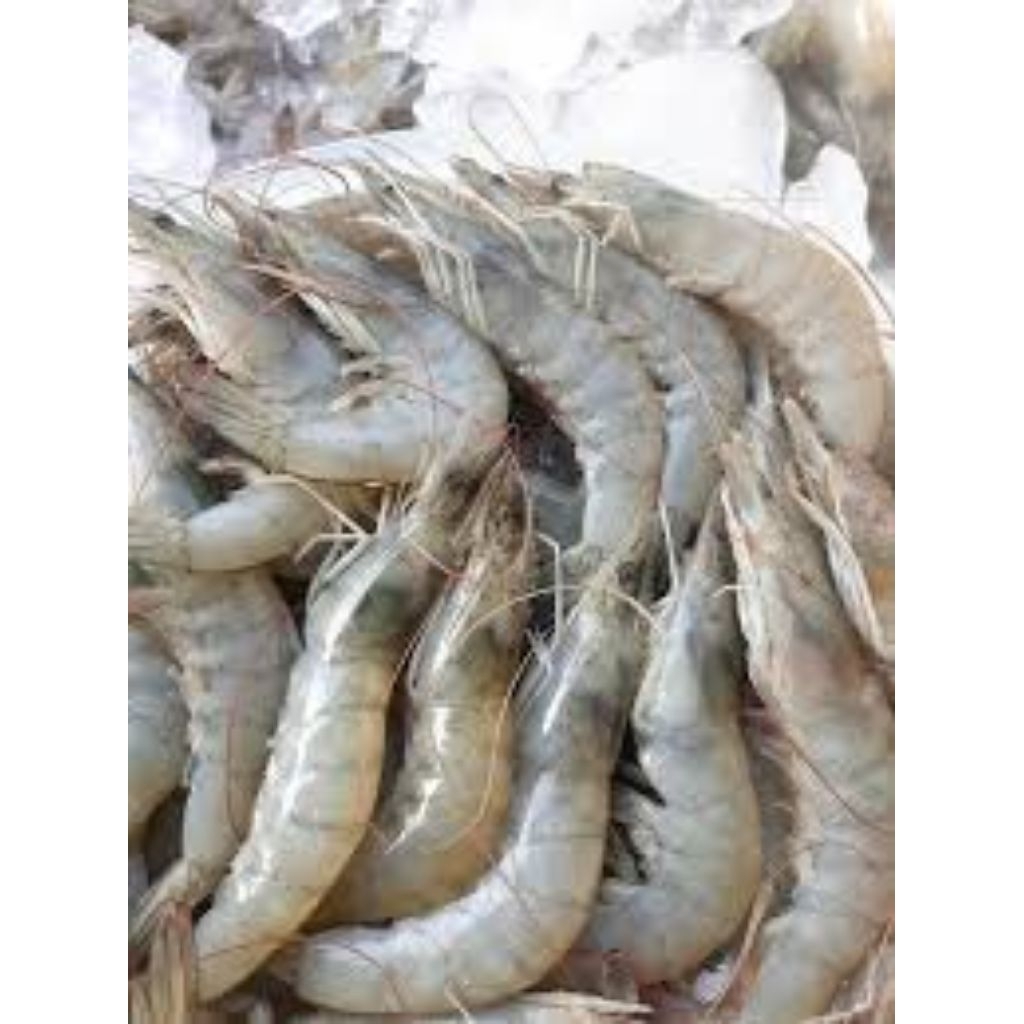 

udang segar fresh termurah 500 gram 1 kg