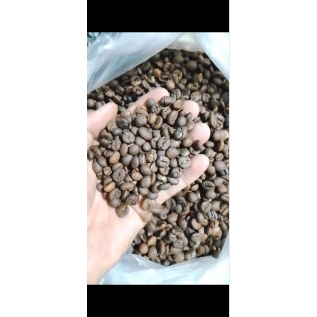 

Roastbean Robusta Petik Merah