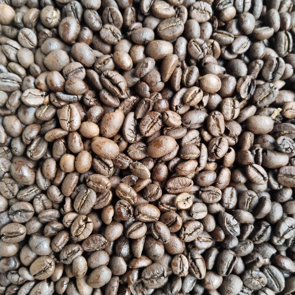 

10kg Roasted Kopi Robusta Java Reguler Fresh Harga Grosir