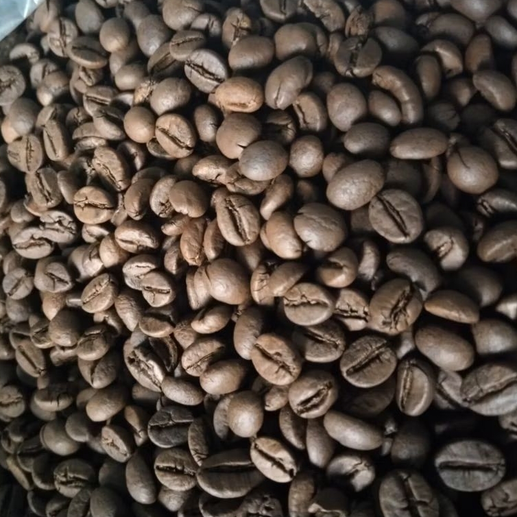 

10kg Roasted Kopi Robusta Tugusari Grade 1 Fresh Roast – Roasted Beans Super