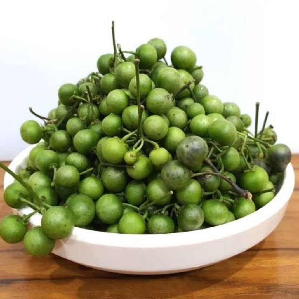 

Lencak Leunca Segar 1 Kg Petik Langsung