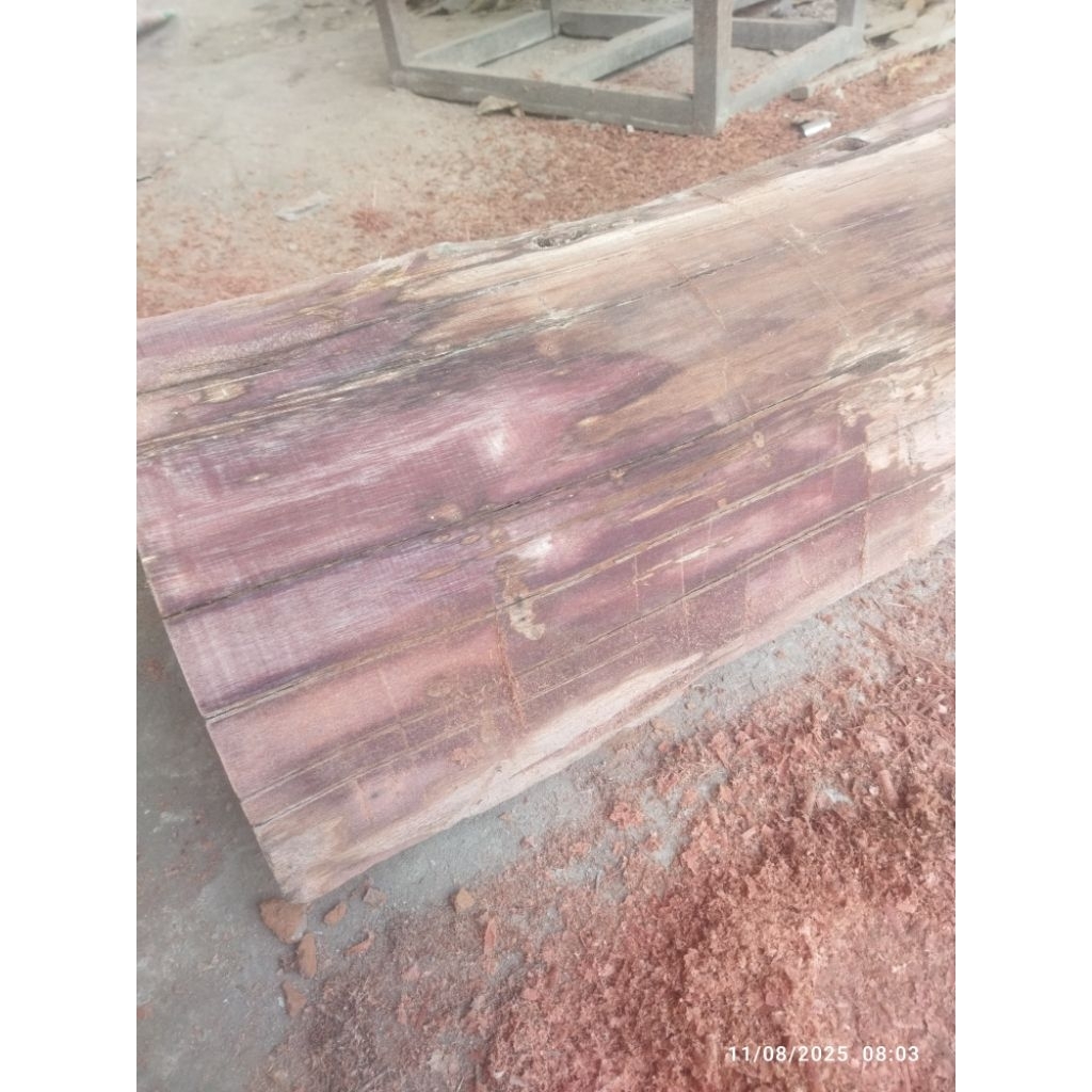 tongkat kayu nagasari