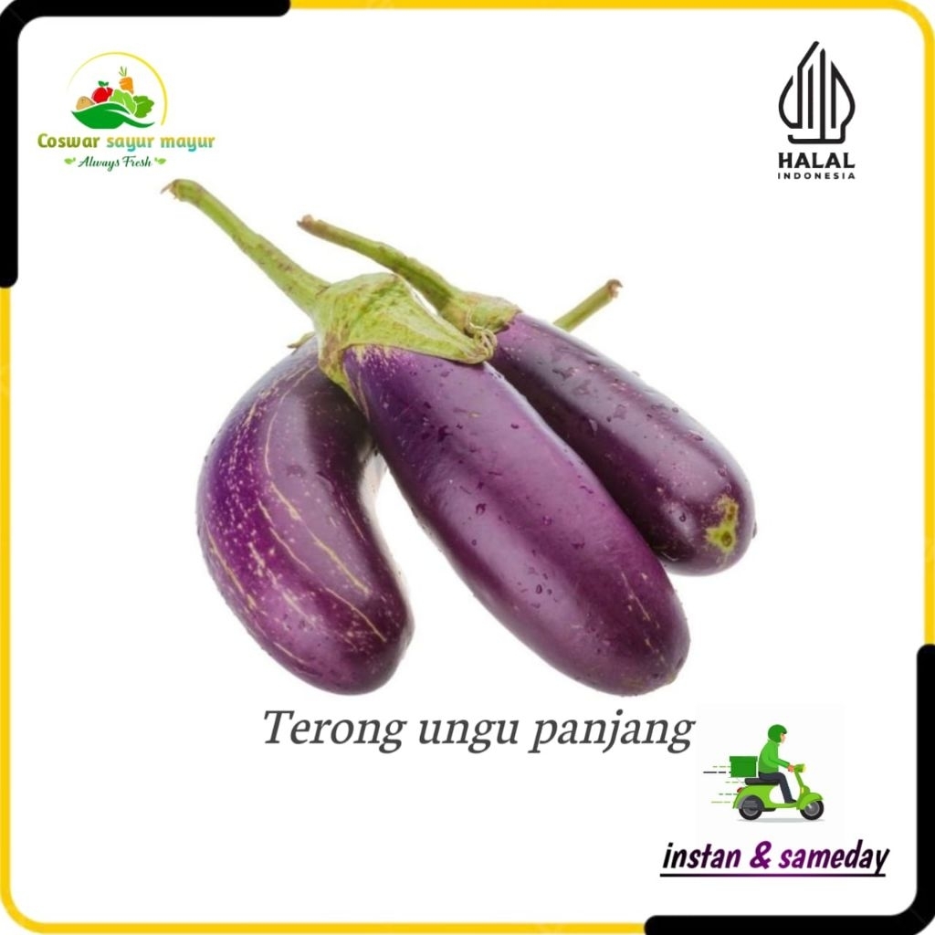 

terong ungu segar ( 500gram ) sayur fresh harian/sayuran dapur praktis/terong ungu segar/tumis terong