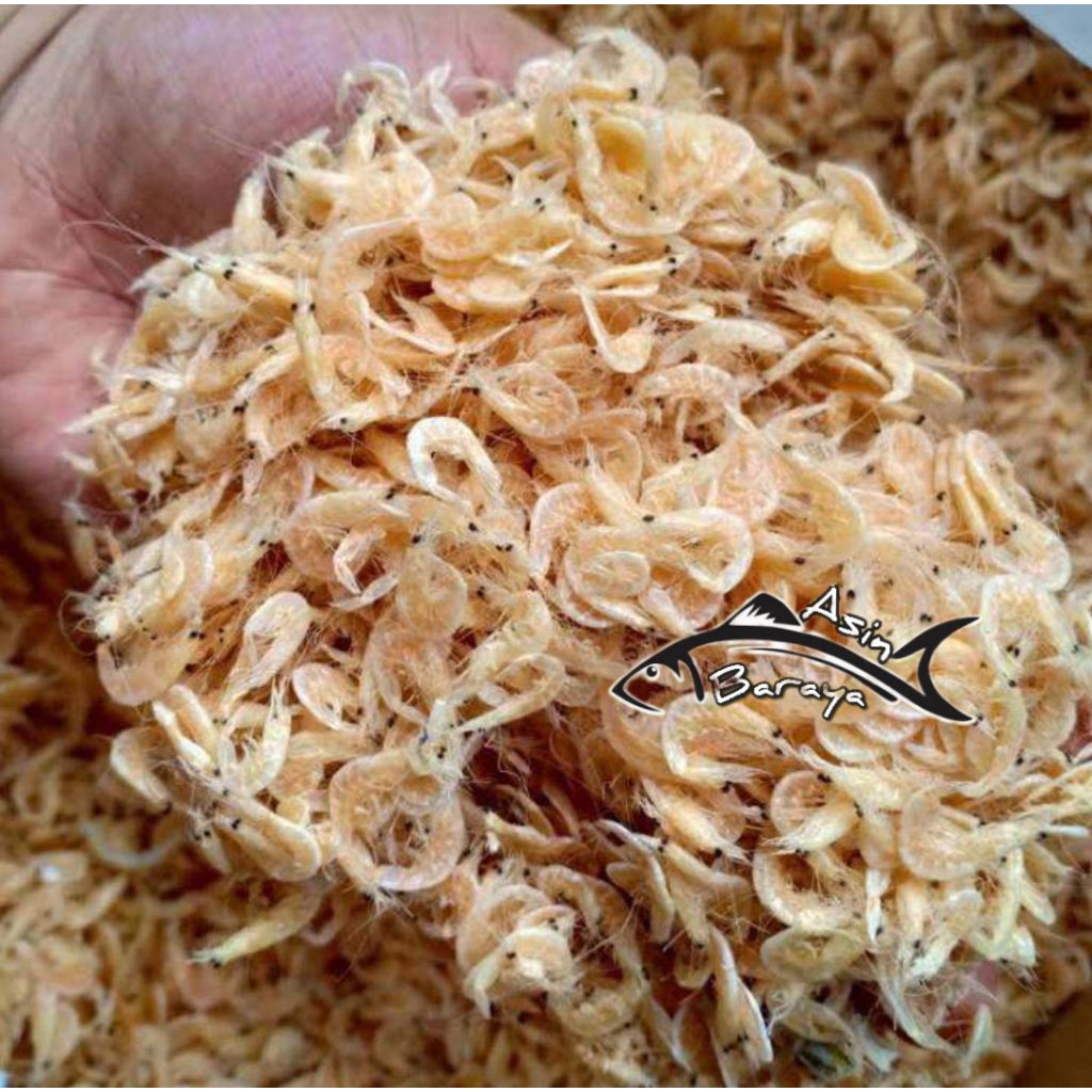 ikan asin rebon ikan asin larong udang rebon kering