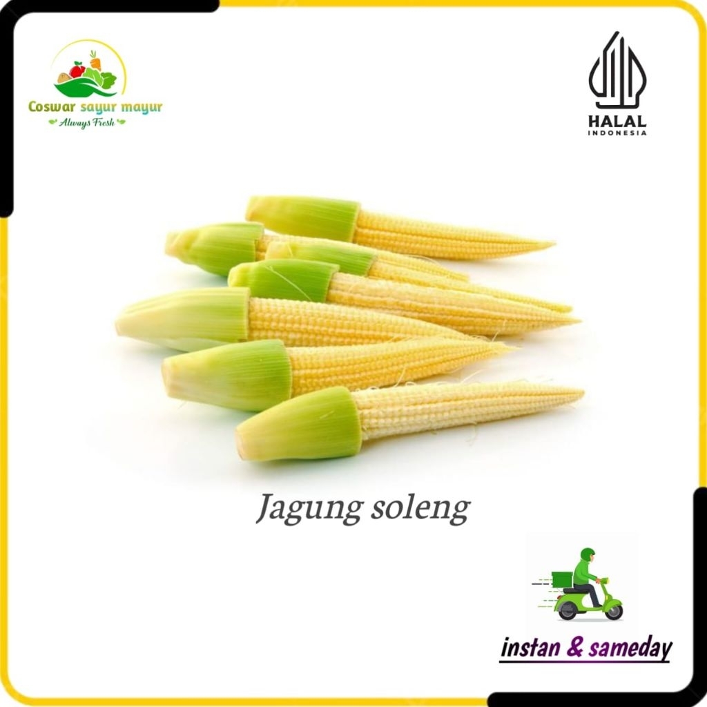 

jagung baby segar ( 500gram ) jagung muda fresh/cocok tumisan dan sup/jagung baby kiloan