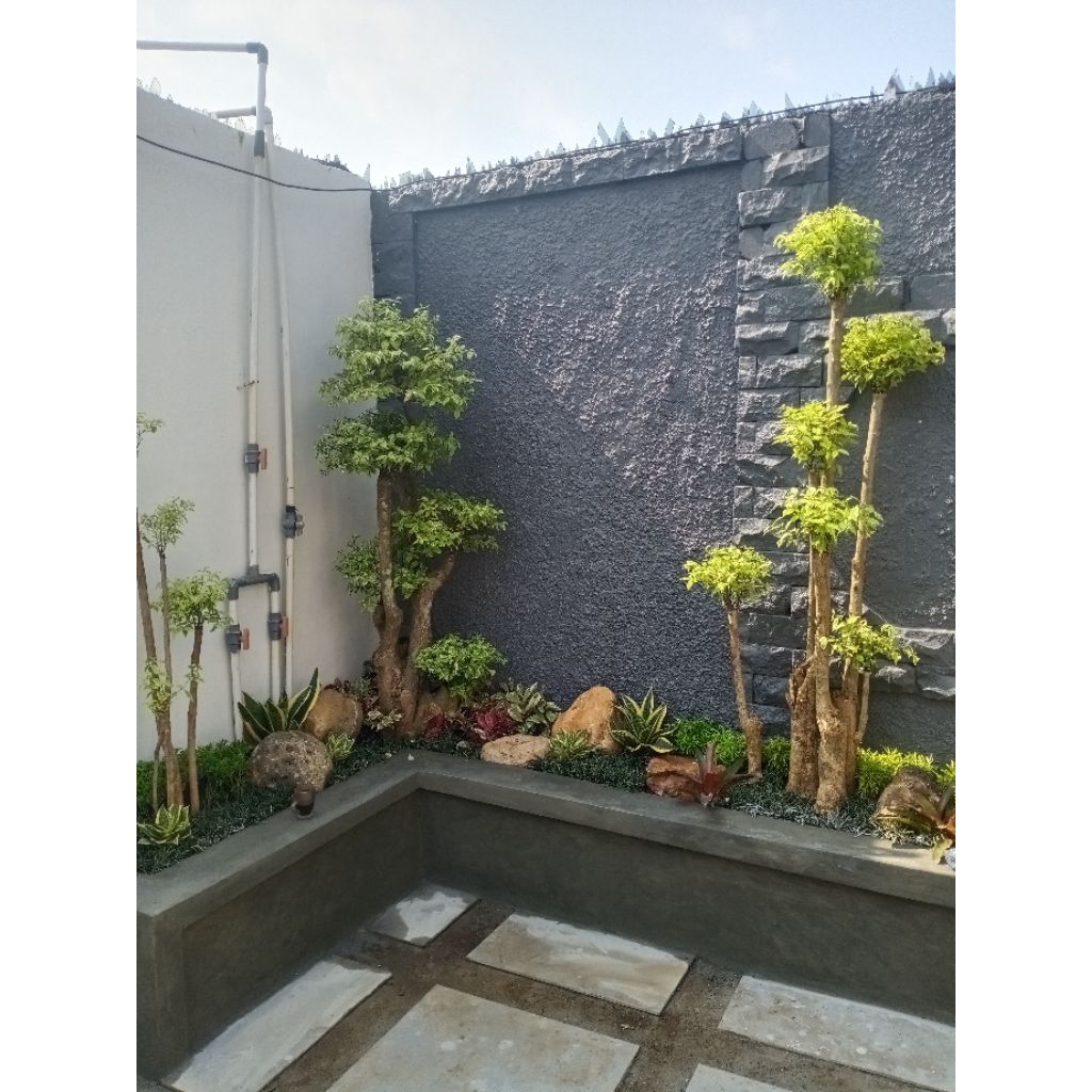 bonsai anting putri taman,  taman bonsai anting putri