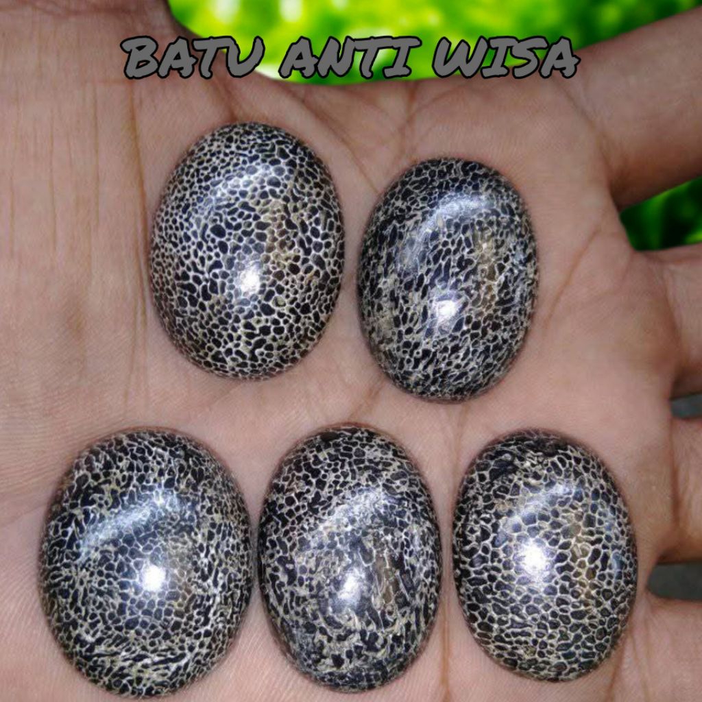 BATU AKIK ANTI WISA/ANTI RACUN BINATANG