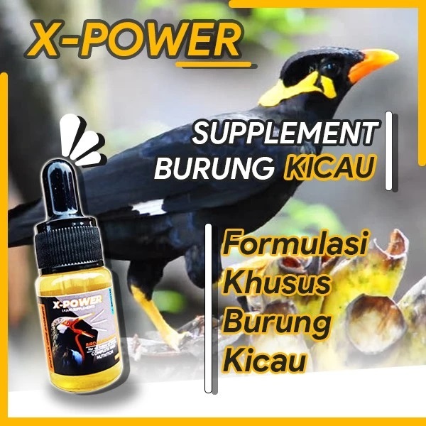 [Promo] X-POWER Suplemen Vitamin Burung Kicau Terbaik Penggacor Burung Doping Burung Obat Burung Kac