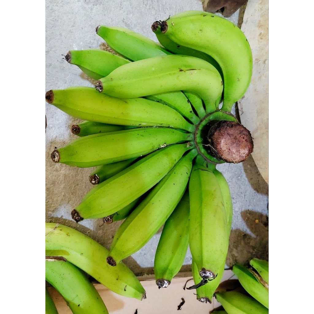 

Pisang Ambon