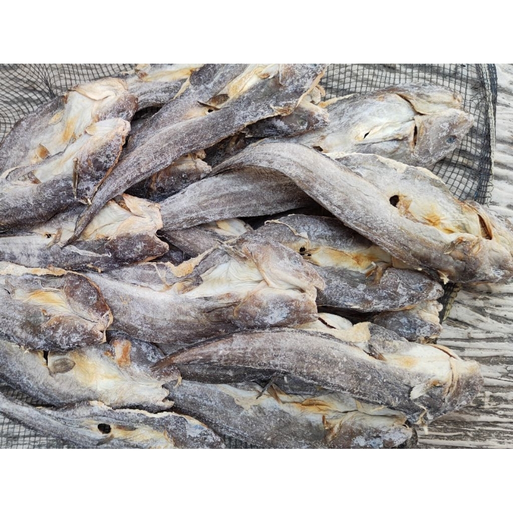

Ikan Asin Sembilang 1 Kg