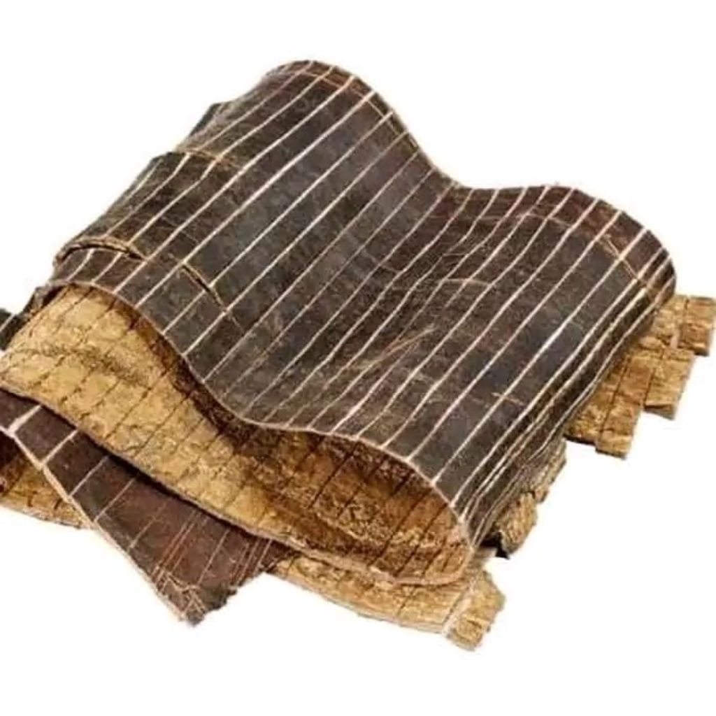 100gr Du Zhong Premium / Eucommia Bark / To Tiong DuZhong ToTiong