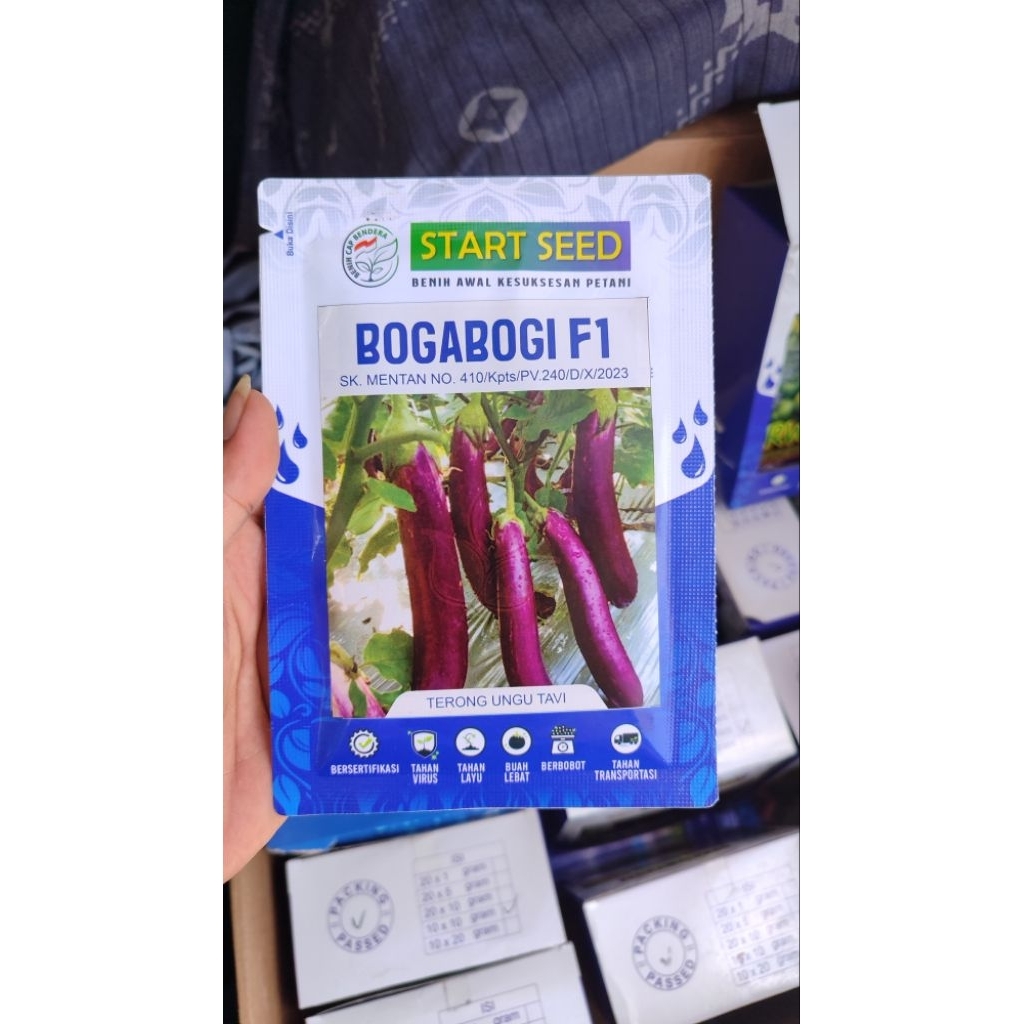 

Benih terong ungu BOGABOGI F1