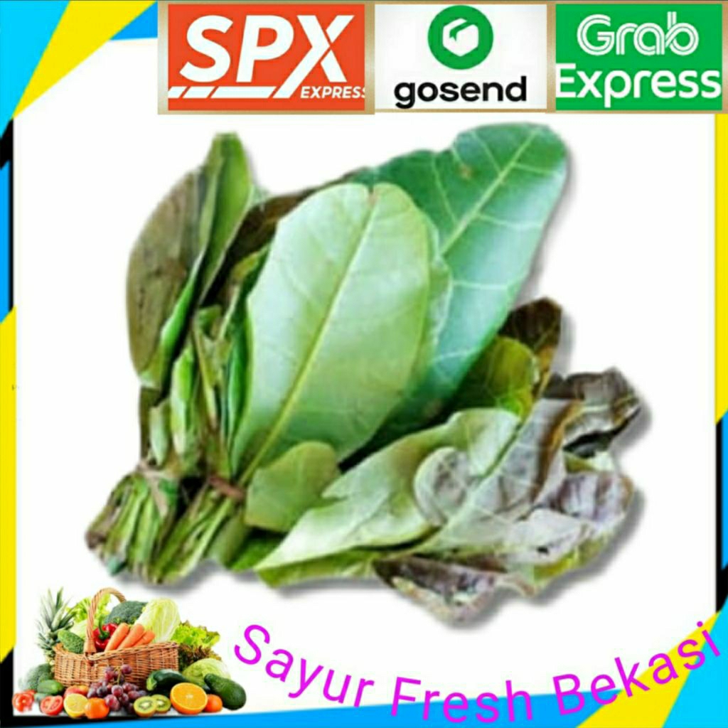 

Daun Jambu Mede (2 ikat).