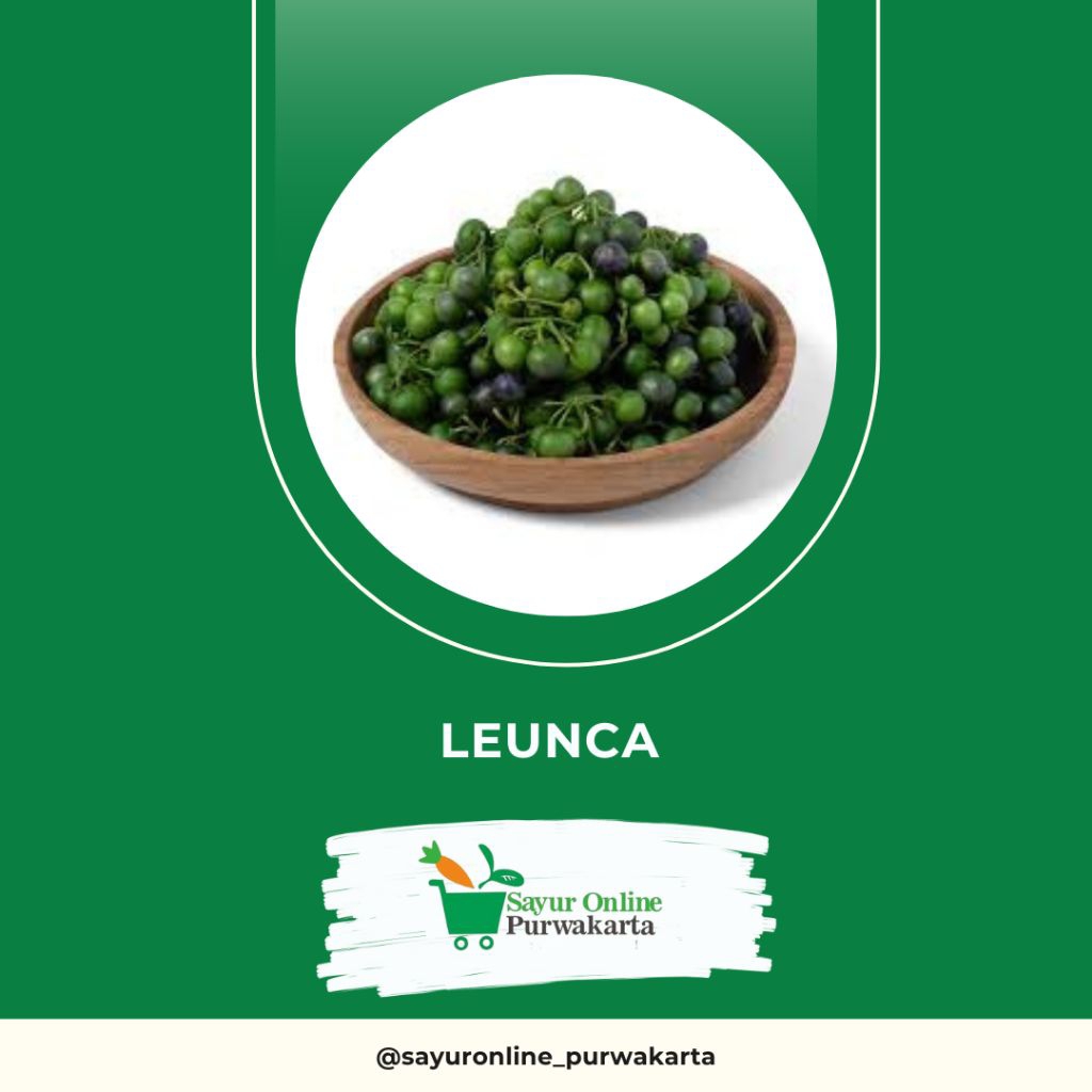 

Leunca - Sayur Online Purwakarta