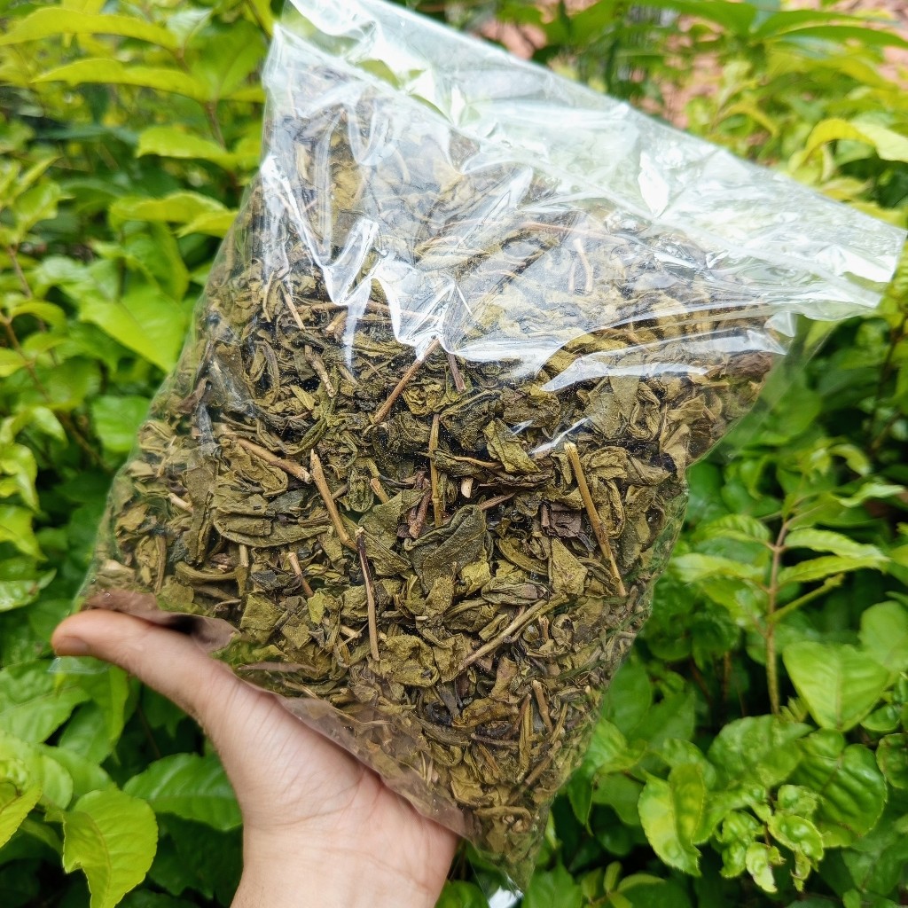 

teh hijau kering fresh 250 gram original promo