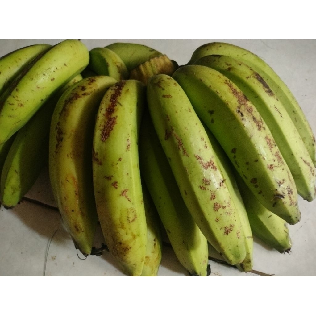 

pisang Ambon mentah hijau 1 kg
