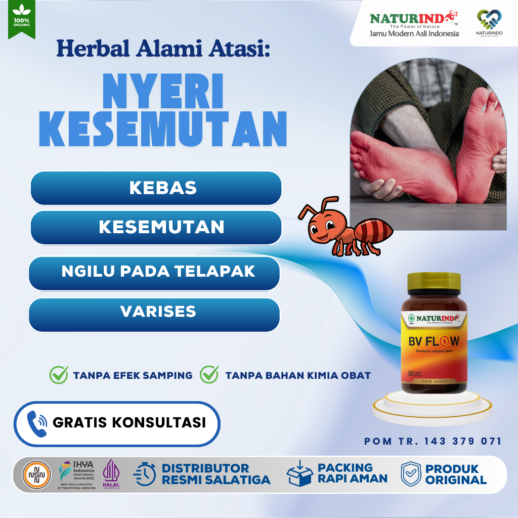 Obat Kesemutan Kebas Tangan Kaki Kaku / Kesemutan dan kebas BVFLOW NATURINDO