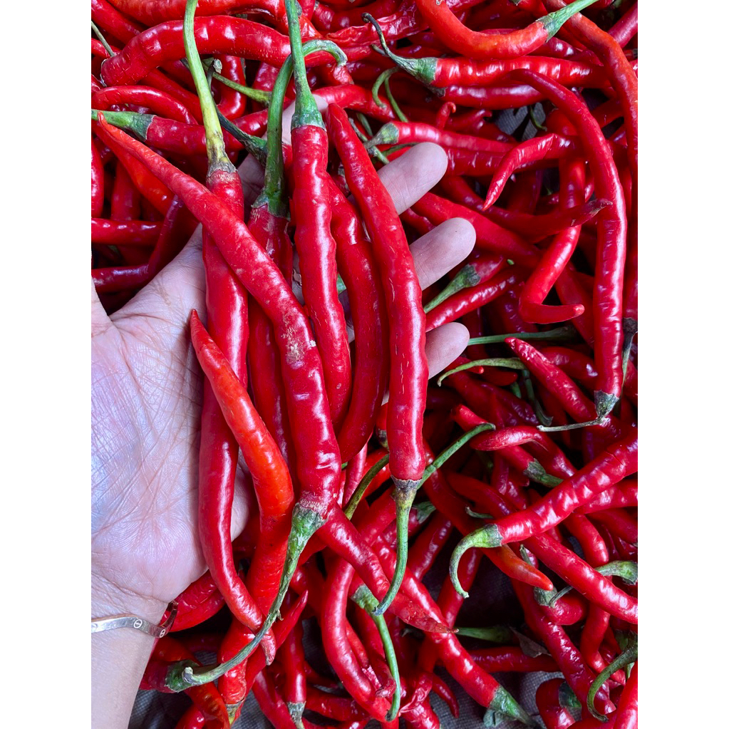 

cabe merah besar super 1kg