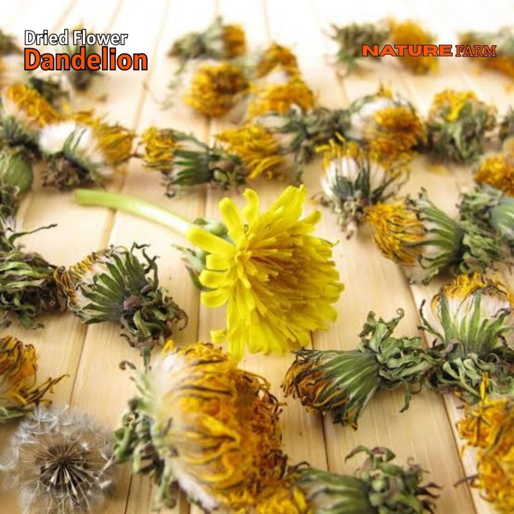 

Nature Farm Premium Dandelion Leaf Tea - Teh Daun Dandelion