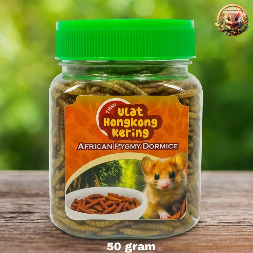 Ulat Hongkong Kering | Ulat Hongkong Protein African Pygmy Dormice Hamster Gerbil Sugar Glider Gecko